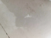 偷拍高中生课间尿尿毛巨多一看就是个骚逼