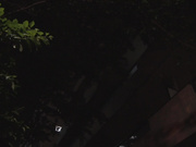 [IPZZ-178] 未婚妻再次堕落在人渣前男友的绝伦活塞中 桃乃木かな【破解】 - 1of5