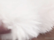 清纯邻家少女 第一眼沦陷的甜美仙女