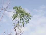 相亲遇隔离被迫同居恋爱实境