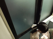 [IBW-964Z] おチビな姪っ子と一緒にお風呂 - 1of5