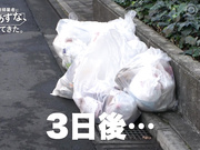 [ABF-221] 把 河合明日菜 留在了全是男性的清洁公司 【破解】 - 1of5
