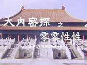 大内密探之零零性性
