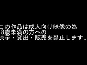 姫騎士輪姦～敗北の王女ディア～