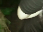 求你不要杀我，钱全部给你白领下夜班被色狼尾随拖到草丛强干喷射一脸对白精彩刺激