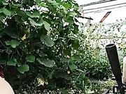 东北豪放姐自驾约炮中年粉丝到路边瓜棚野战玩着正爽瓜棚的看护回来了粉丝立马溜人了