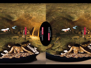 RealityLovers - 10.000 BC in a Cave