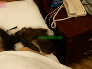 國內真實咪J-美容院豐滿氣質的老板娘陪客戶吃飯被灌醉帶到酒店猛烈抽插,逼逼又肥又豐滿,操的真狠!