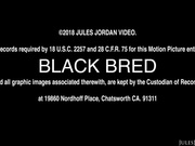 JulesJordan.18.11.27.Kali.Roses