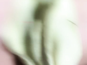 高颜值网红脸新人美女主播身材苗条皮肤白皙 漏奶漏逼秀性感翘臀很是诱惑喜欢不要错过