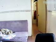 各种居家隐秘私生活TP露出大合集蹲在床上操媳妇和在客厅抱着媳妇边走边草的夫妻是真猛啊