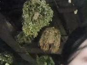 说话温柔的貌美白虎馒头逼少妇打扮成坐台小姐酒吧勾搭帅哥去钟点房啪啪
