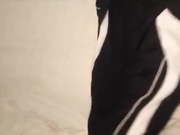 极品萝莉穿着校服做爱自拍逼逼非常粉嫩小逼毛都貌似没长全真是可惜了