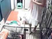 【全網推薦】【360水滴居家系列】稀缺家庭攝像頭黑客破解拍攝到的激情小夫妻日常啪啪過性生活 玩得太嗨了 原版高清