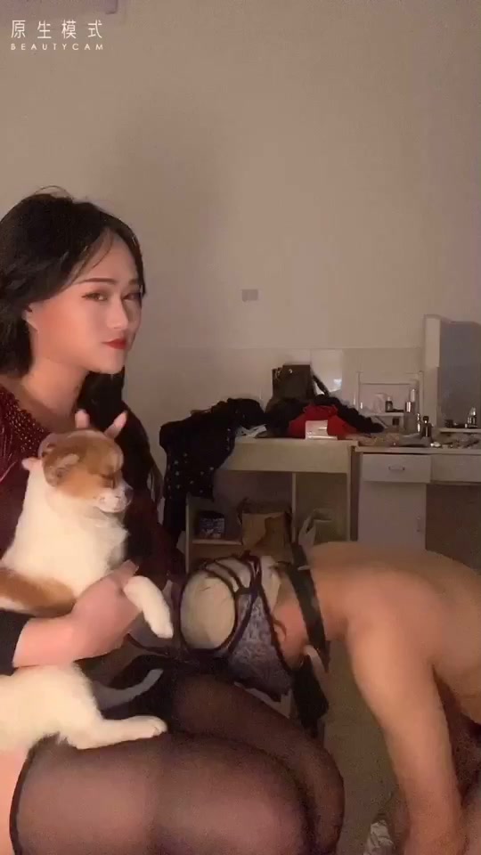 00后媚妖TS妖月小姐 调教贱狗，给妈妈磕一百个头，贱狗，起来舔妈妈的鸡巴，叫二哈爸爸，叫到它汪汪为止，对白风