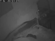 【稀缺資源】居家攝像頭黑客破解拍攝到的眼鏡小夫妻大床上瘋狂愛愛 貌似有點猛啊 720P高清