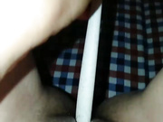 鲍鱼