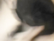样子满可以的美女主播晚上没穿内裤在天桥玩露出摸逼期间有不少人路过