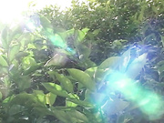 [BT-45] プレミアムモデル  並木加奈【無碼】 - 1of5