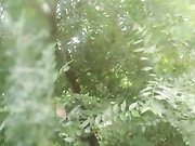 年纪不是很大的女主播和木讷男小树林打野战直播男的被蚊子叮了一腿包
