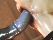 Hentai 3D uncensored KASUMI LUST FOR SEX